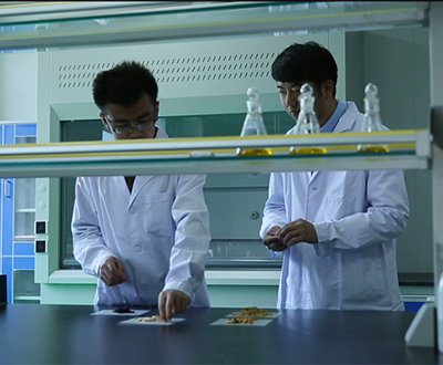 հzM(jn)Еr(sh)zһ(xin)ġ^ߡ